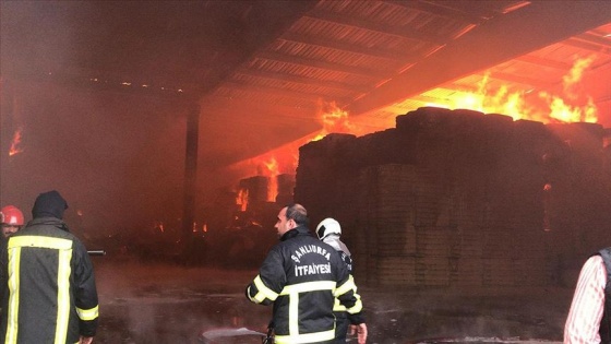 Şanlıurfa'da tekstil fabrikasında yangın çıktı