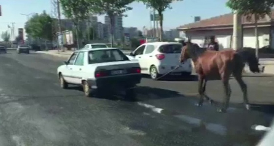 Şanlıurfa’da tepki çeken görüntü