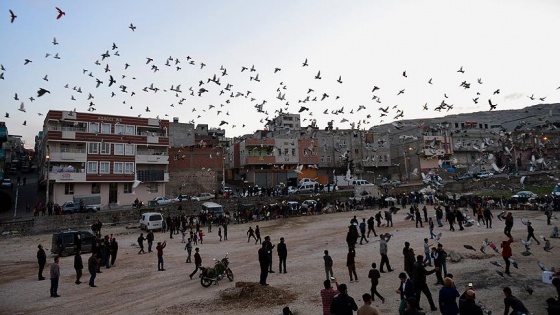 Şanlıurfa semasına 'güvercin döküldü'