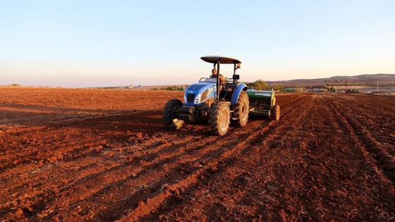 Şanlıurfa tarımda altın yılını yaşadı