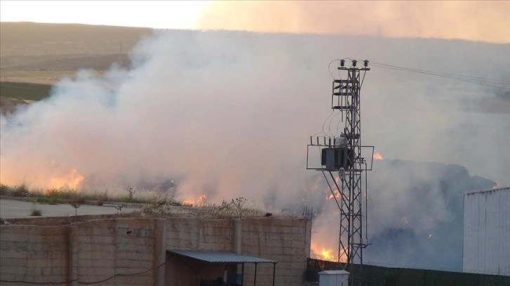 Şanlıurfa'da biyokütle enerji santralinde çıkan yangına müdahale ediliyor