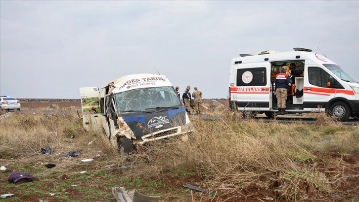 Şanlıurfa'da tarım işçilerini taşıyan minibüsün devrilmesi sonucu 23 kişi yaralandı