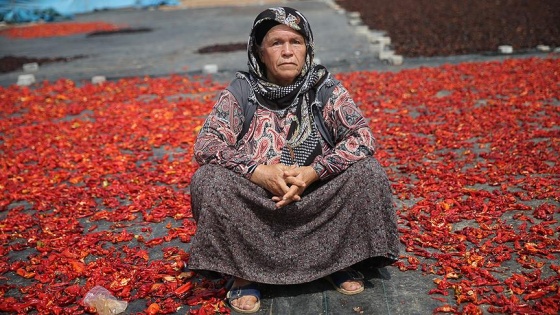 Şanlıurfalı kadınlar 'acıya' meydan okuyor