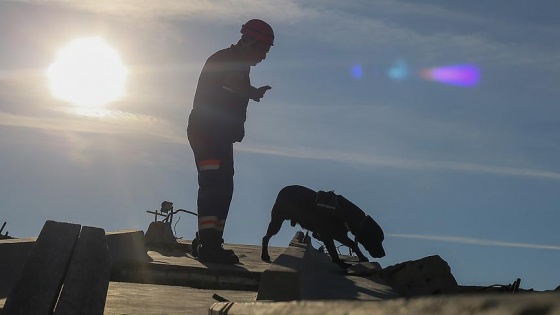 'Şans'ın görevini yavrusu 'Gece' devralacak