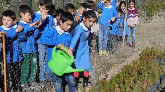 Santim santim fidandan hatıra ormanına