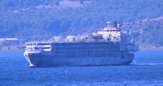 Şarbon iddiasına sebep olan gemi Çanakkale Boğazı’ndan geçti