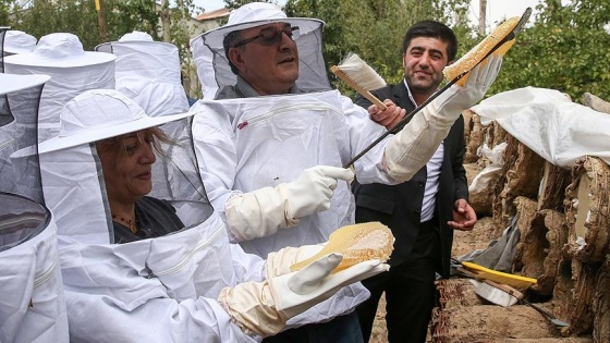 Satın aldıkları balın hasadını kendi elleriyle yaptılar