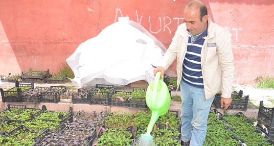 Sebze fidesine talep arttı