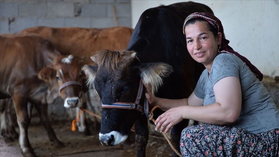 Şehirde ev temizliğine gidiyordu, besici oldu