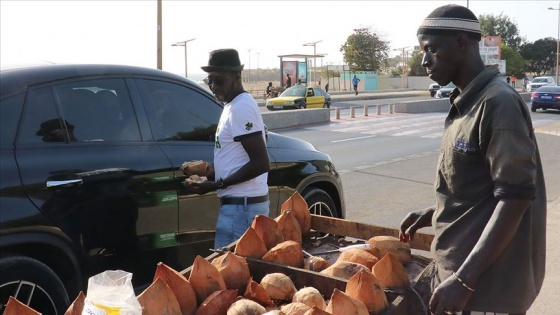 Senegal'de salgın günlerinin 'doğal eczaneleri': Hindistan cevizi tezgahları