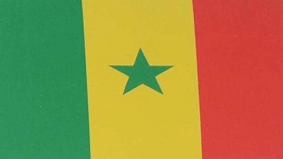 Senegal'de tartışmalı yasa ikinci kez parlamentodan geçti