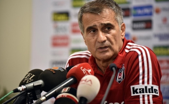 Şenol Güneş: 