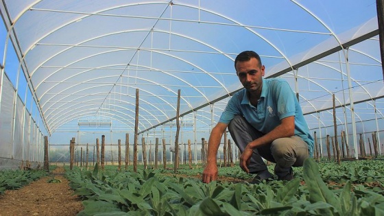 Seralar Genç Çiftçi Projesi ile 'çiçek' açıyor