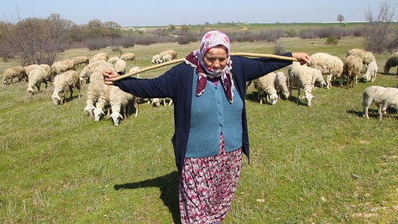 Sertifikalı kadın çoban: 'Şerife Ana'