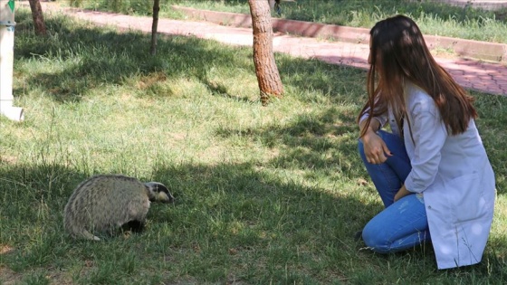 Şifa verdikleri 'porsuk'tan ayrılmak istemiyorlar