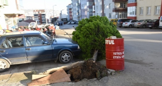 Sinop’ta fırtına yıktı geçti