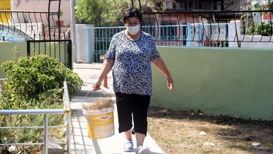 Sinop’ta sokağın ve caminin gönüllü temizlikçisi 'Canan teyze'