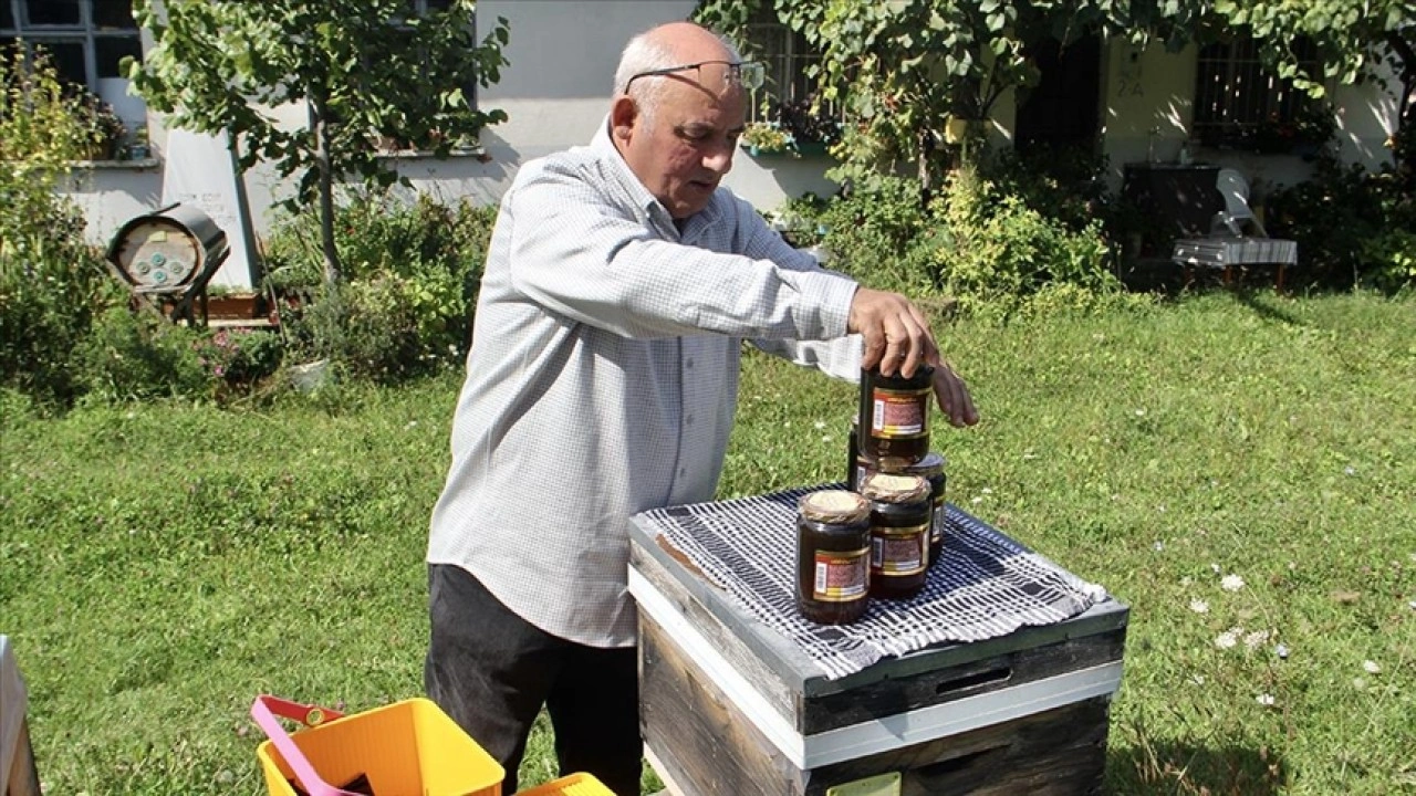 Sinop'un tescilli kestane balında tüketicilere 