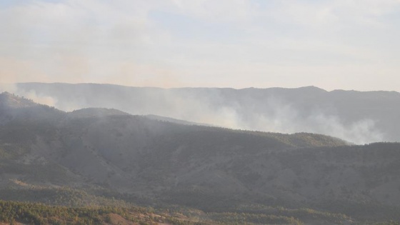 Şırnak'ta 10 terörist etkisiz hale getirildi