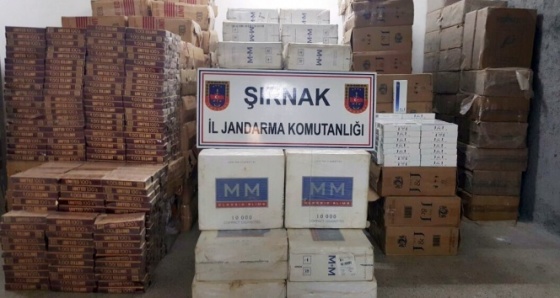 Şırnak’ta 130 bin paket kaçak sigara ele geçirildi