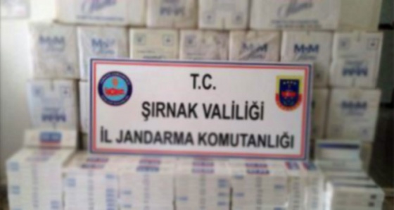 Şırnak’ta 15 günde 61 bin 999 paket kaçak sigara ele geçirildi