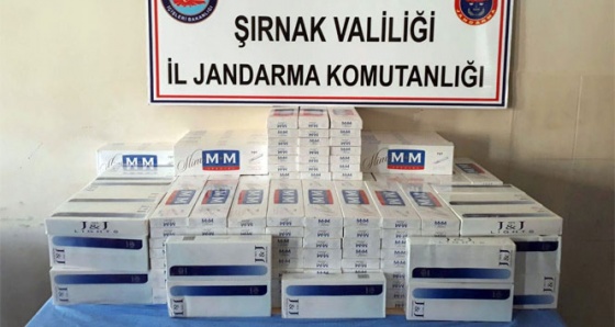 Şırnak’ta 19 bin paket kaçak sigara ele geçirildi