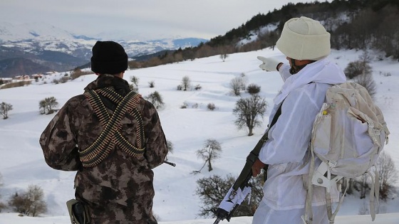 Şırnak'ta 2 bin 900 rakımda terör operasyonu