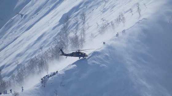 Şırnak'ta etkisiz hale getirilen terörist sayısı 26'ya yükseldi