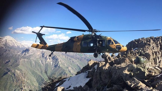 Şırnak'ta etkisiz hale getirilen terörist sayısı 29'ya yükseldi