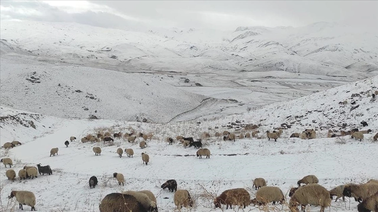 Şırnak'ta Faraşin Yaylası'nda kar yağışı etkili oldu