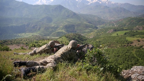 Şırnak'ta PKK'lı terörist etkisiz hale getirildi