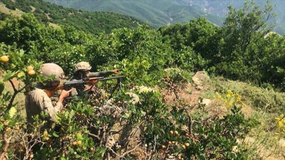 Şırnak'ta terör operasyonu: 2 terörist etkisiz hale getirildi