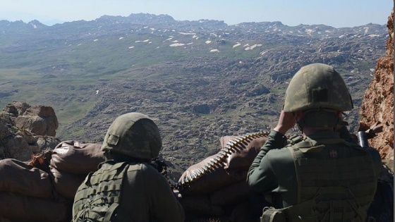 Şırnak ve Hakkari'de 5 terörist teslim oldu