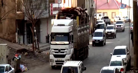 Şırnaklı vatandaşlar göçe devam ediyor