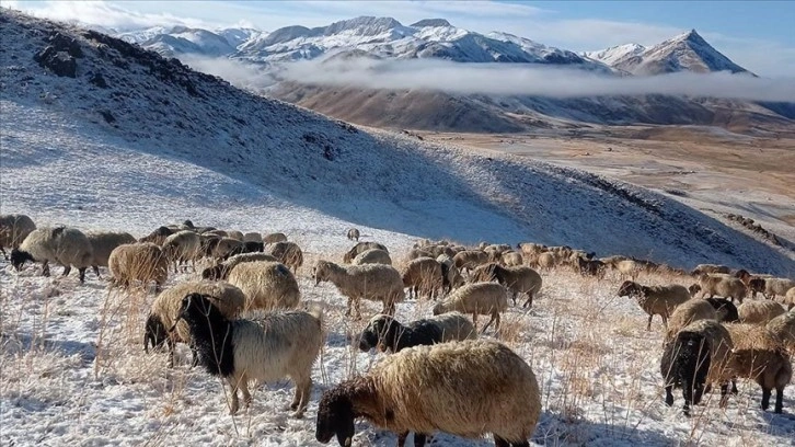 Şırnak'taki Faraşin Yaylası'na mevsimin ilk karı yağdı