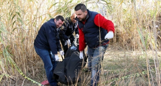 Şişe ararken ceset buldu