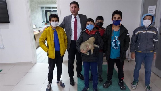 Sivas'ta çocukların yaralı köpek için verdiği çaba yürekleri ısıttı