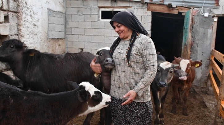 Sivaslı besici kadın devlet desteğiyle manda sayısını 50'ye çıkardı