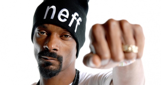 Snoop Dogg konserinde parmaklık devrildi: 42 yaralı