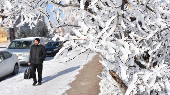 Soğuk hava dalgası 'yorgan döşek yatırabilir'