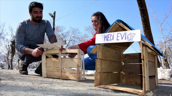 Sokak hayvanları için atık malzemeden barınak yaptılar