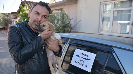 Sokak hayvanları için otomobilini satıyor