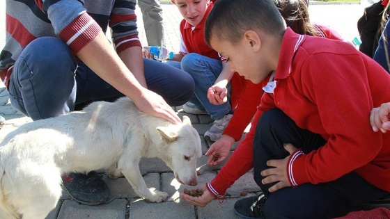 Sokak hayvanları için oyuncaklarından vazgeçtiler