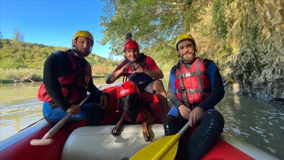 Sokak hayvanları konusunda farkındalık oluşturmak için köpekle rafting yaptı