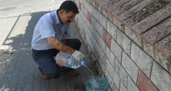 Sokak hayvanlarına 4 yıldır her gün su ve yemek veriyor