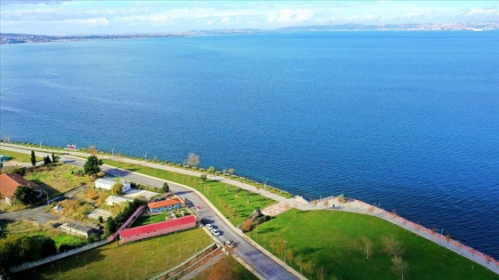 Sokak hayvanlarına 'deniz manzaralı' merkezde bakım