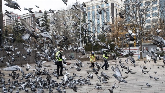 Sokak hayvanlarına 'vefa' desteği