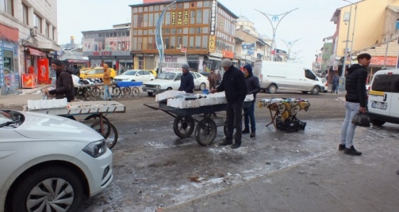 Sokak hayvanlarının umudu, balıkçı esnafı oldu