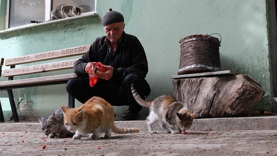 Sokak kedilerinin 'İsmet Dedesi'