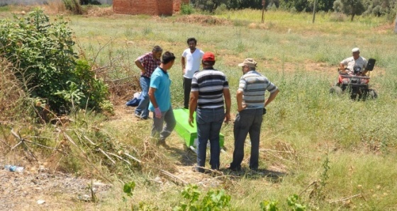 Söke’de kamyonet yayaya çarptı: 1 ölü